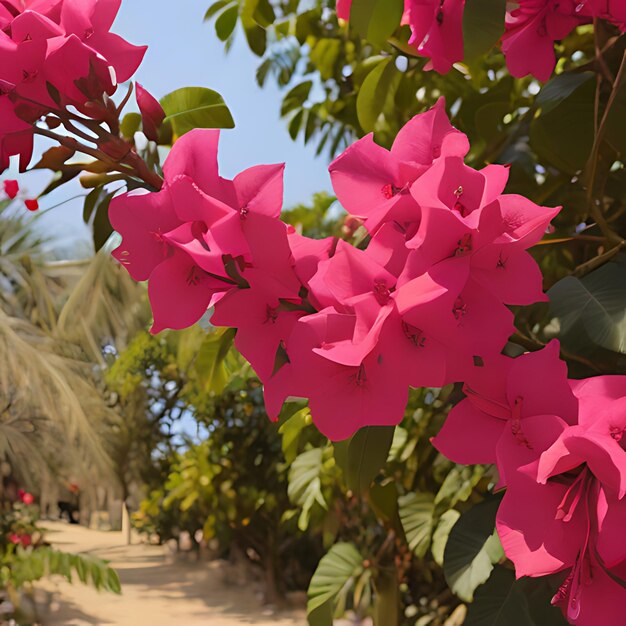 Photo une fleur rose avec le mot hyacin sur elle