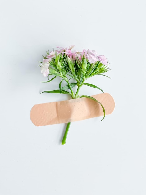 Fleur rose avec plâtre Image conceptuelle saine