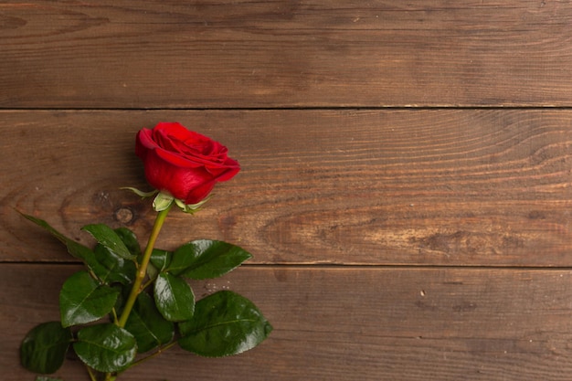 Fleur rose rouge sur l'espace de copie de fond en bois Carte postale pour la journée de la femme 8 mars Anniversaire