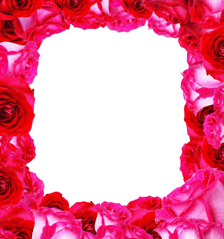Fleur rose
