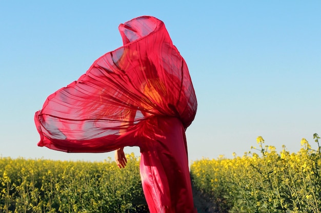 Photo une fleur rouge sur le champ contre un ciel clair