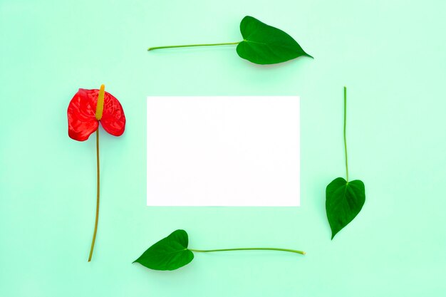 Une Fleur Rouge Et Des Feuilles Forment Un Cadre Dans Lequel Un Papier Vierge.