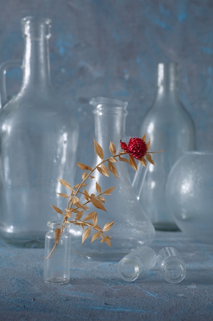 Photo fleur rouge et récipients en verre sur fond bleu