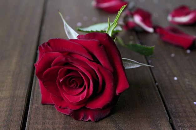 Fleur rouge rose sur une table en bois