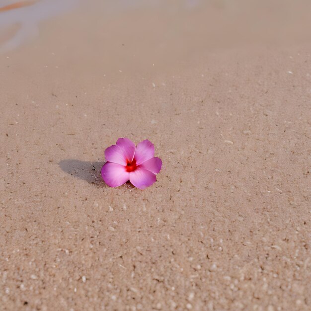 Photo une fleur sur le sable avec une fleur rose dans le sable