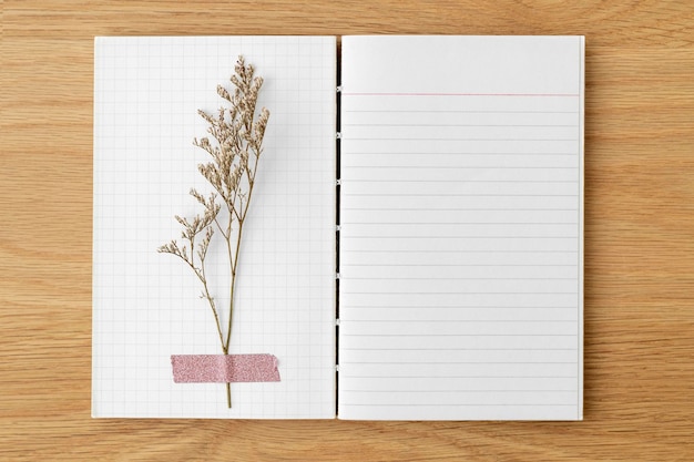 Fleur séchée sur un cahier ligné vierge