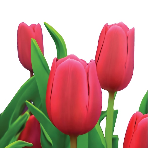 Fleur de tulipe 3d réaliste sur fond blanc avec des feuilles de tulipe rouge Flower Design Ultra High HD