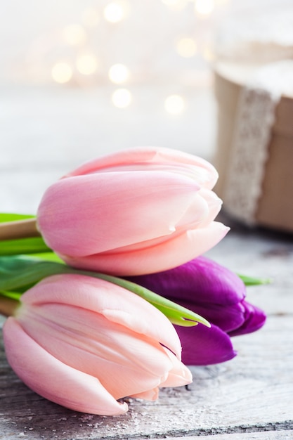 Fleur de tulipe colorée, lumières