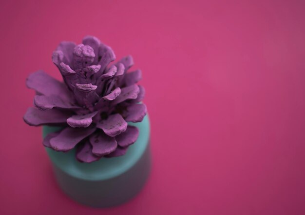 Une fleur violette est sur un fond rose