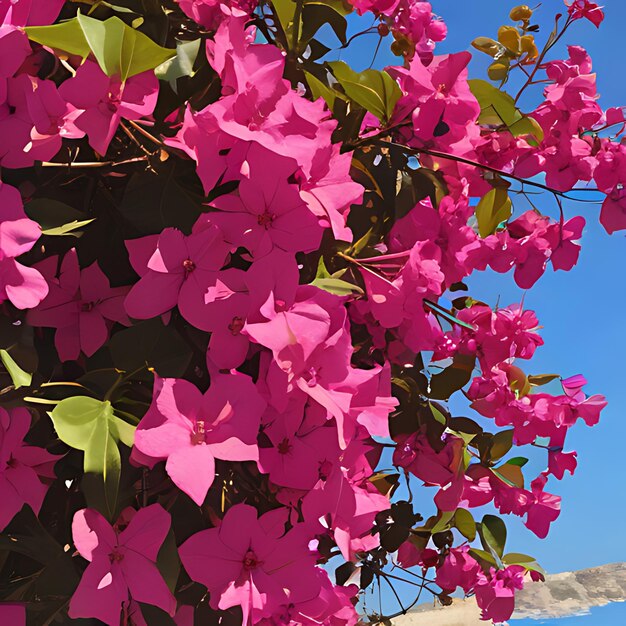 Photo une fleur violette est suspendue à un arbre avec le ciel en arrière-plan