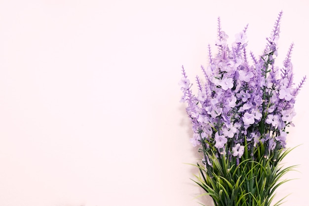 Fleur violette et feuille verte sur fond de mur.