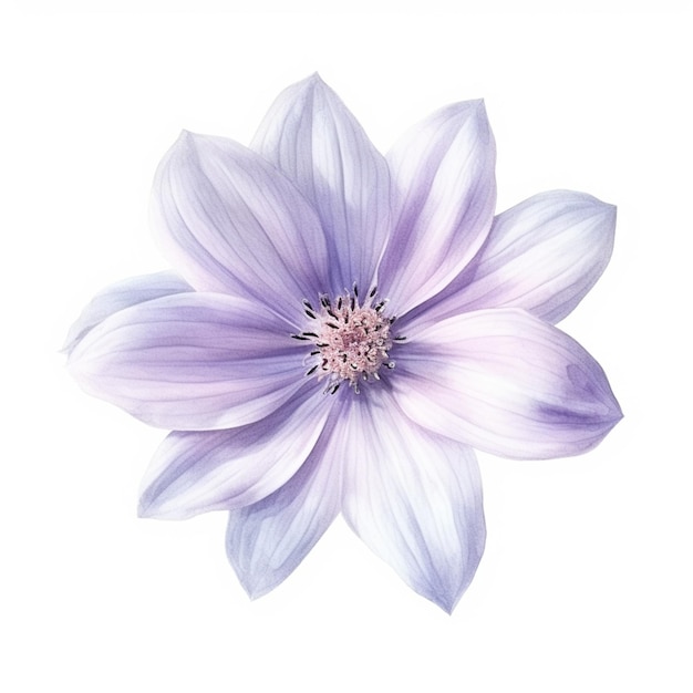 Fleur violette sur fond blanc sans feuilles générative ai