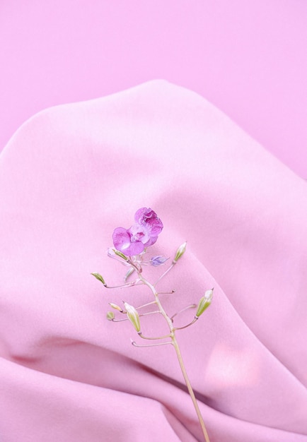 Fleur violette sur fond de tissu de soie rose. Papier peint minimaliste esthétique. Composition de plantes florales de printemps d'été