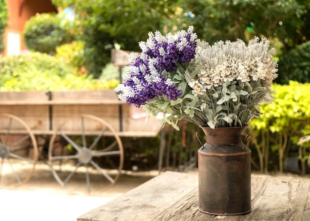 fleur violette en pot