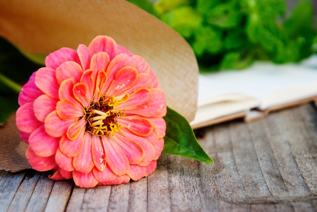 Fleur de zinnia rose sur vieux bois avec fond.