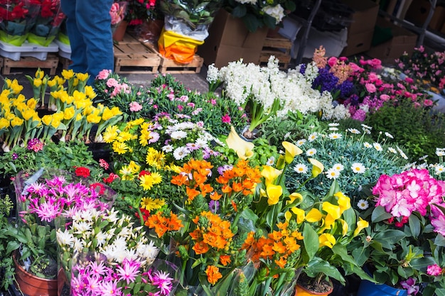 Fleuriste dans la rue de la ville de Padoue au printemps