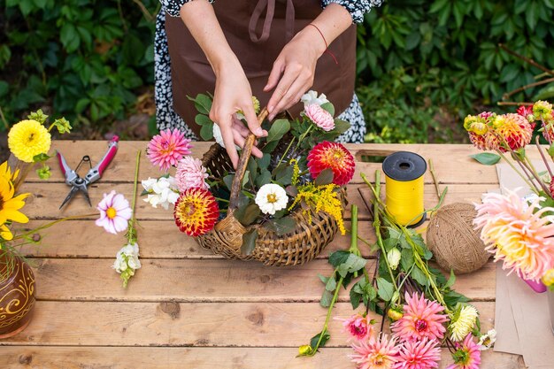 Photo le fleuriste fait un bouquet dans un panier de dahlias et d'asters d'automne