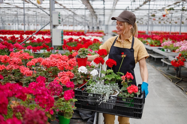 Fleuriste femme d'âge moyen travaillant dans une serre