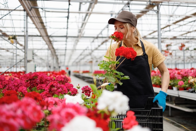 Fleuriste femme sentant des fleurs dans une serre