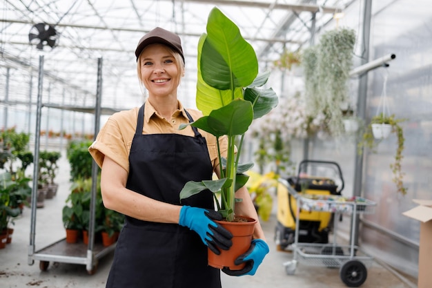 Une fleuriste heureuse avec une plante verte en pot