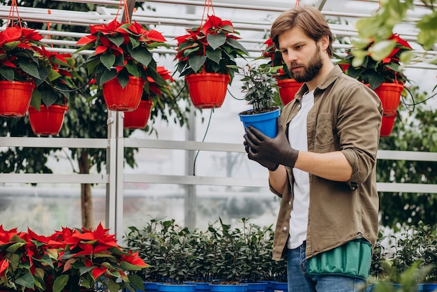 Fleuriste d'homme travaillant dans la maison verte