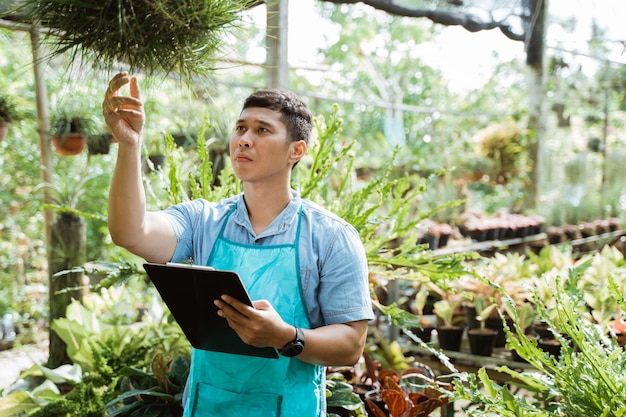 Un fleuriste inspecte la qualité et la croissance d'une plante verte