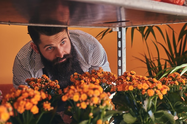 Fleuriste masculin professionnel avec barbe et tatouage sur sa main portant l'uniforme prenant soin des fleurs dans un magasin de fleurs moderne.