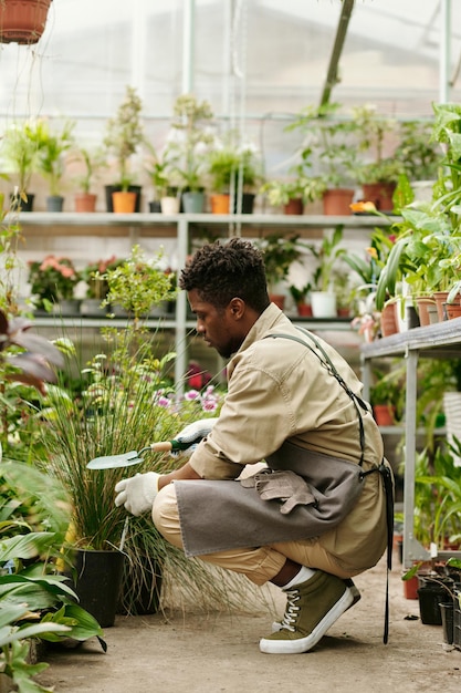 Fleuriste transplantant des plantes en pots