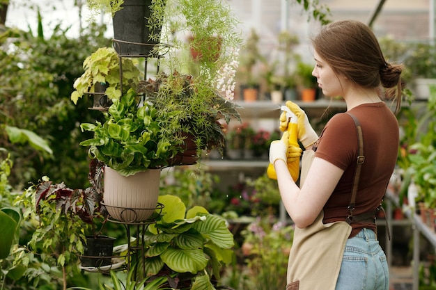 Fleuriste utilisant un spray pour arroser les fleurs