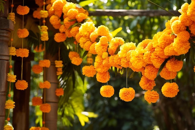 des fleurs accrochées à une corde