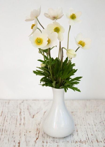 Fleurs d&#39;anémone de printemps