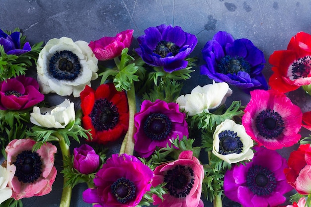 Fleurs d'anémones sur fond de pierre