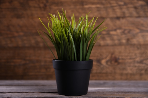 Fleurs artificielles herbe forme différente dans un pot bouchent avec copie espace et texte