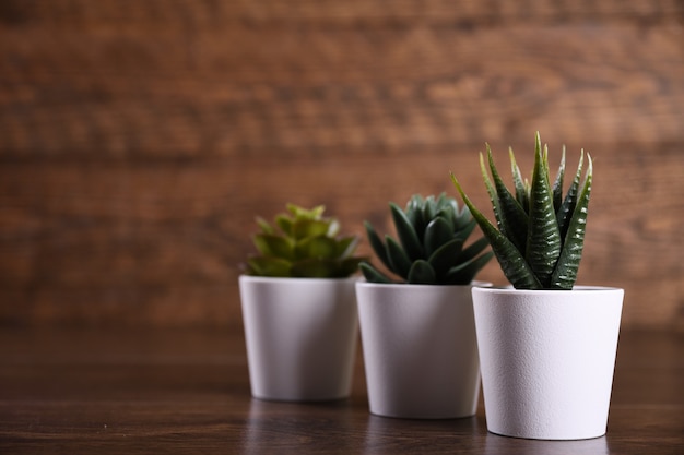 Fleurs artificielles herbe forme différente dans un pot sur fond en bois se bouchent avec copie espace et texte.