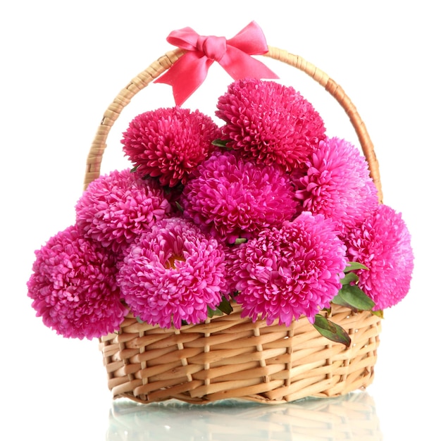 Fleurs d'aster rose dans le panier isolé sur blanc