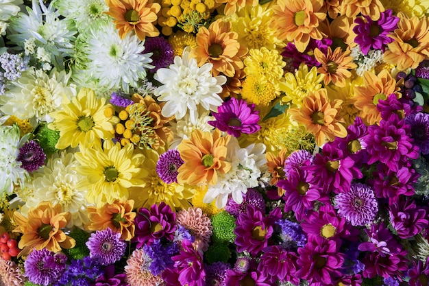 Fleurs d'automne. Un tapis de fleurs colorées.