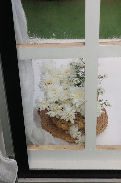 Fleurs blanches dans un panier
