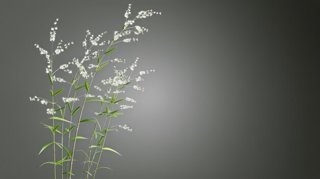 Des fleurs blanches dans un vase sur la table