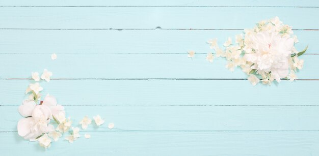 fleurs blanches sur fond en bois blanc