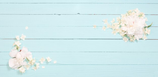 Fleurs blanches sur fond en bois blanc