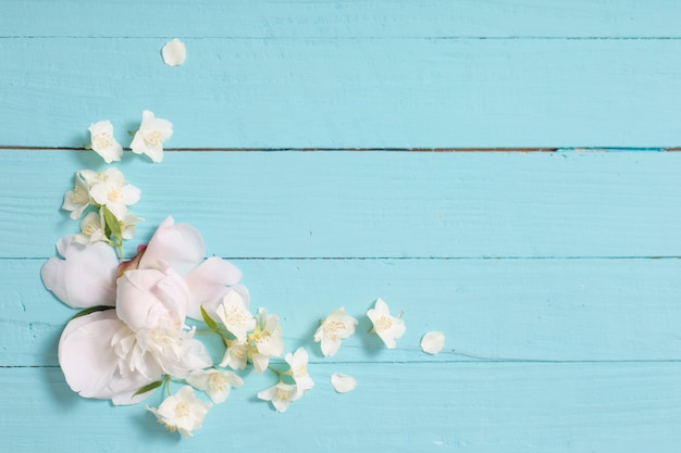 Fleurs blanches sur fond en bois blanc