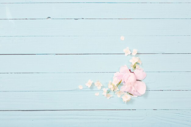 Fleurs blanches sur fond en bois blanc