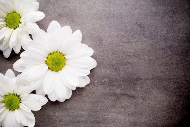 Fleurs blanches sur le fond du spa.