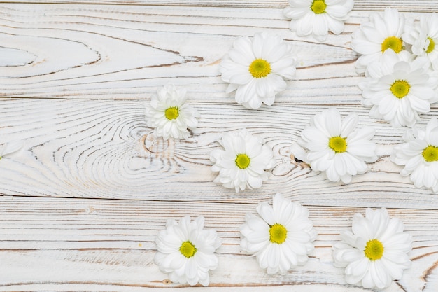 Fleurs blanches sur table en bois