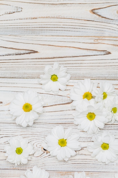 Photo fleurs blanches sur table en bois