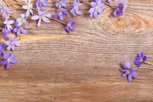 Fleurs bleues sur fond de bois