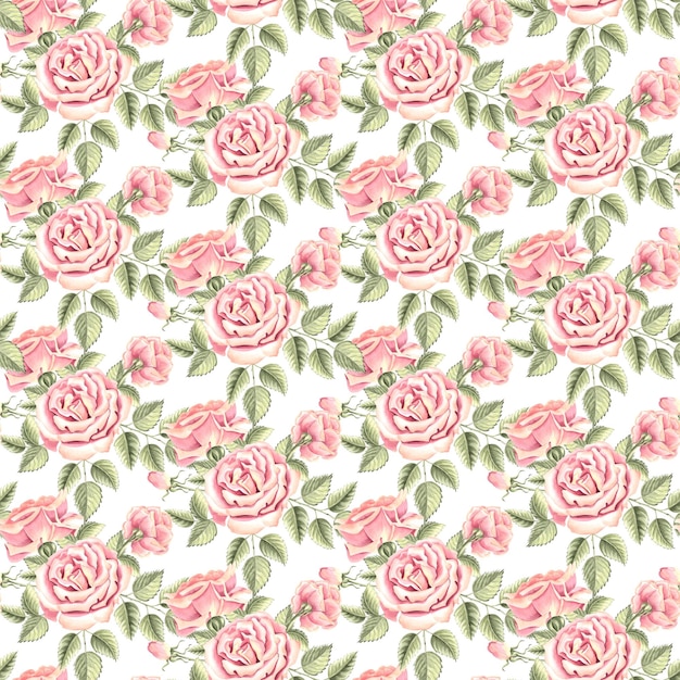 Les fleurs et les bourgeons des roses sont d'un rose clair doux avec des feuilles vertes.