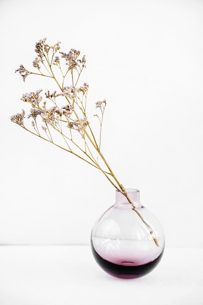 Fleurs de branche dans un vase en verre sur un tableau blanc. Décor pour l'intérieur. Décoration élégante pour la maison.