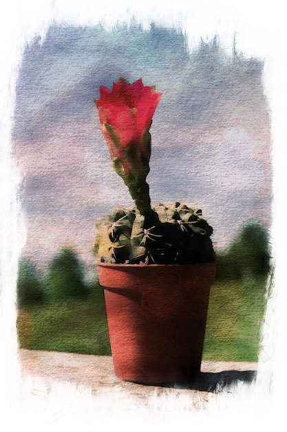 Fleurs de cactus en collection, dessin aquarelle