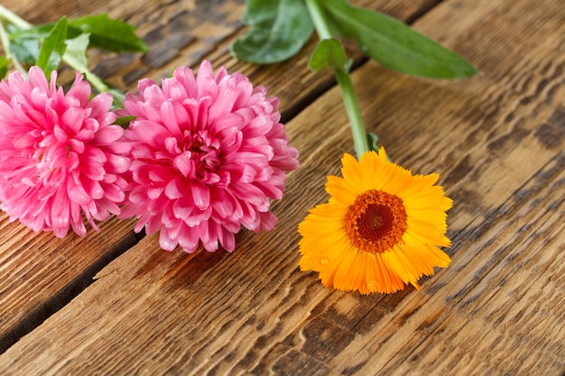 Fleurs de calendula et d'aster en gros plan sur de vieilles planches de bois. Faible profondeur de champ.